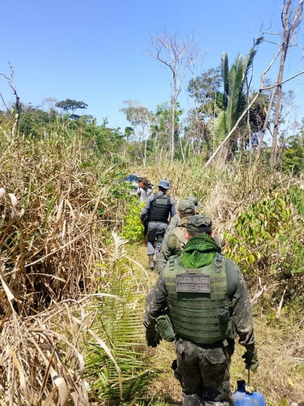 PM fecha área de desmatamento ilegal e prende três homens em flagrante em Colniza